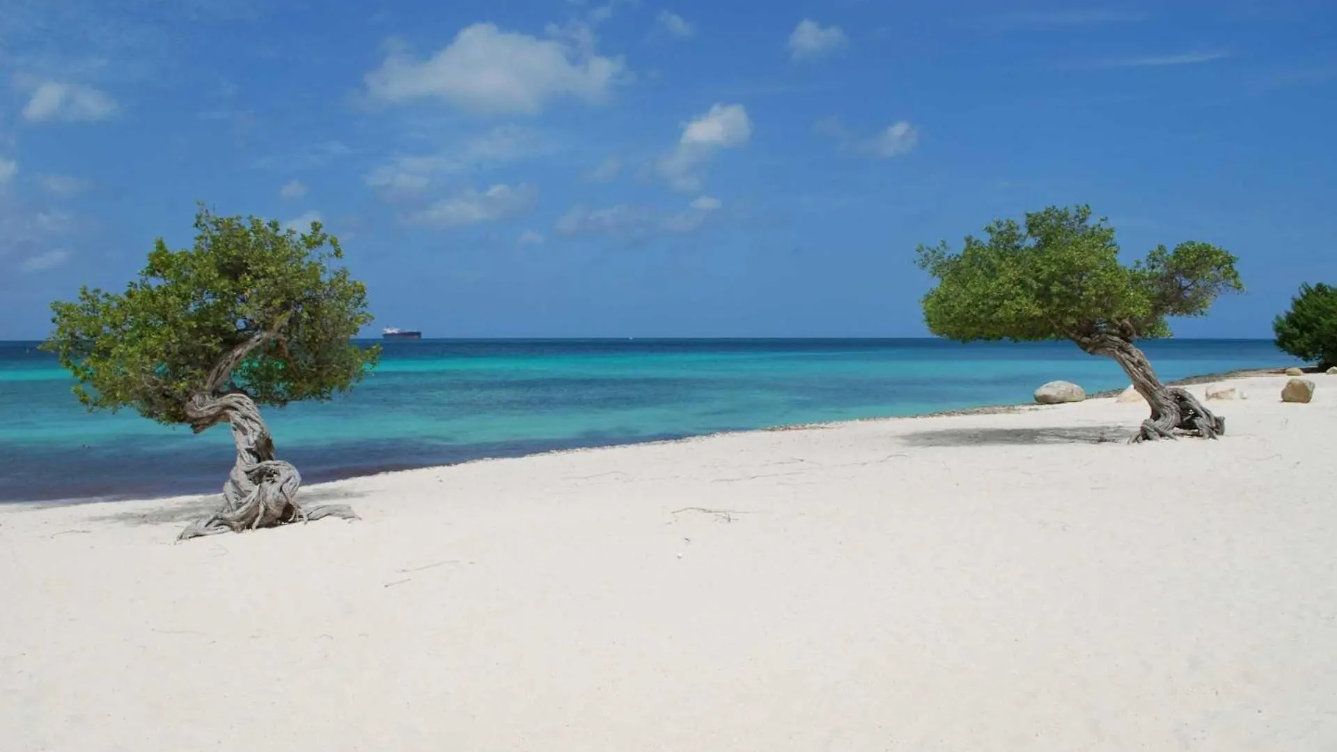 Vakantiehuis Beachfront - Beach Garden 1Br Condo - E124-2 Palm Beach