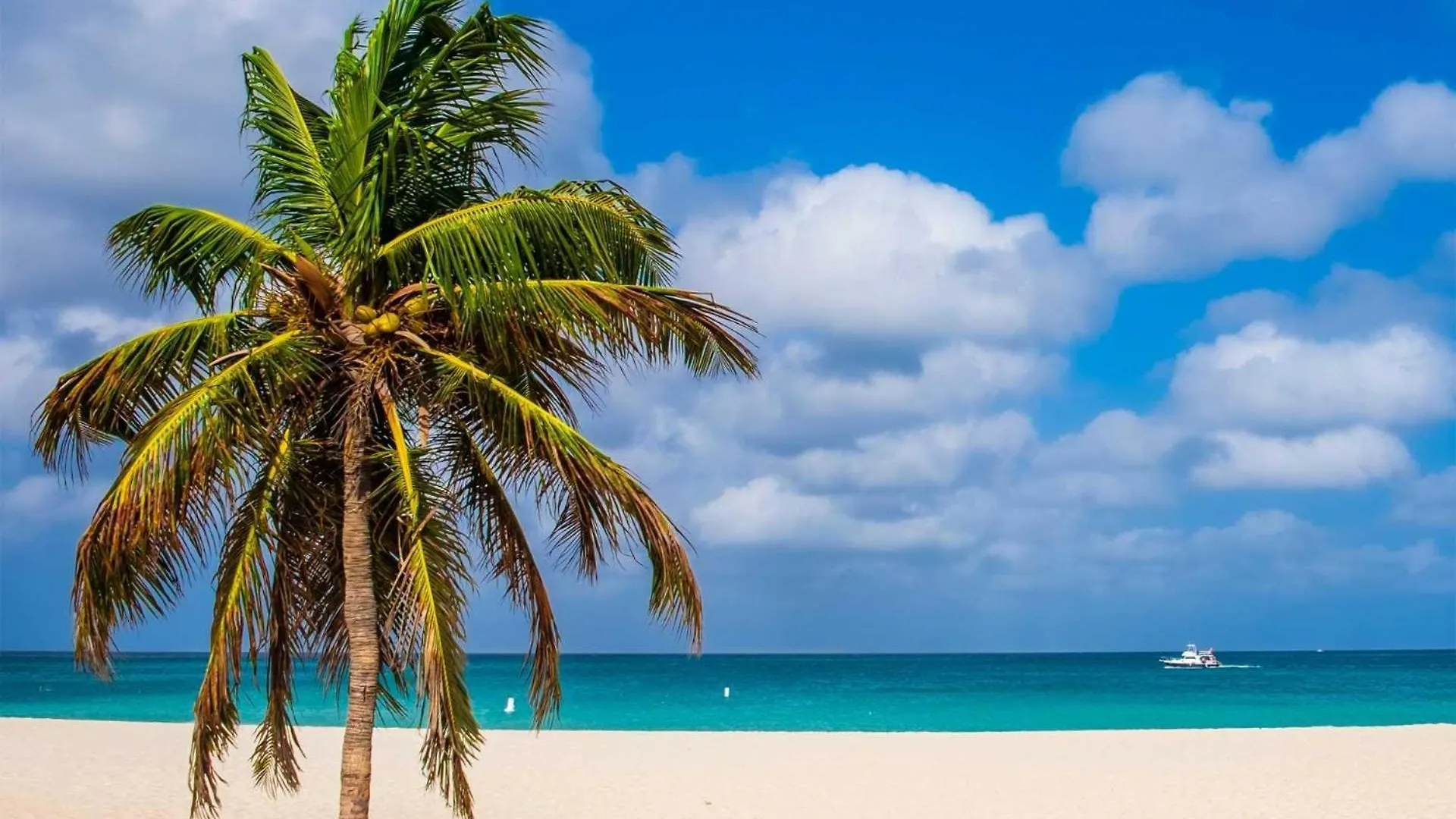 Beachfront - Beach Garden 1Br Condo - E124-2 Palm Beach Aruba
