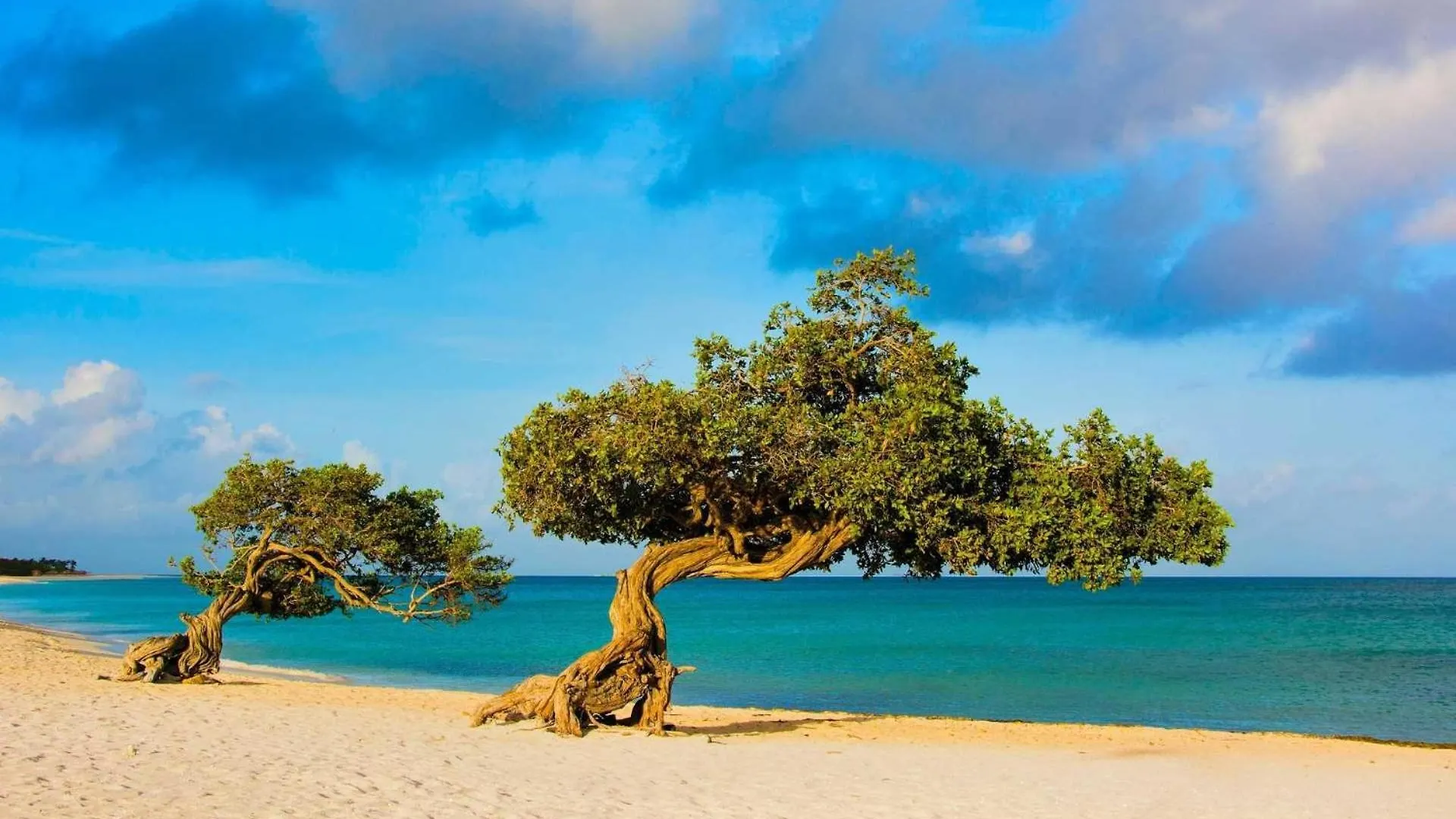 Beachfront - Beach Garden 1Br Condo - E124-2 Palm Beach Vakantiehuis