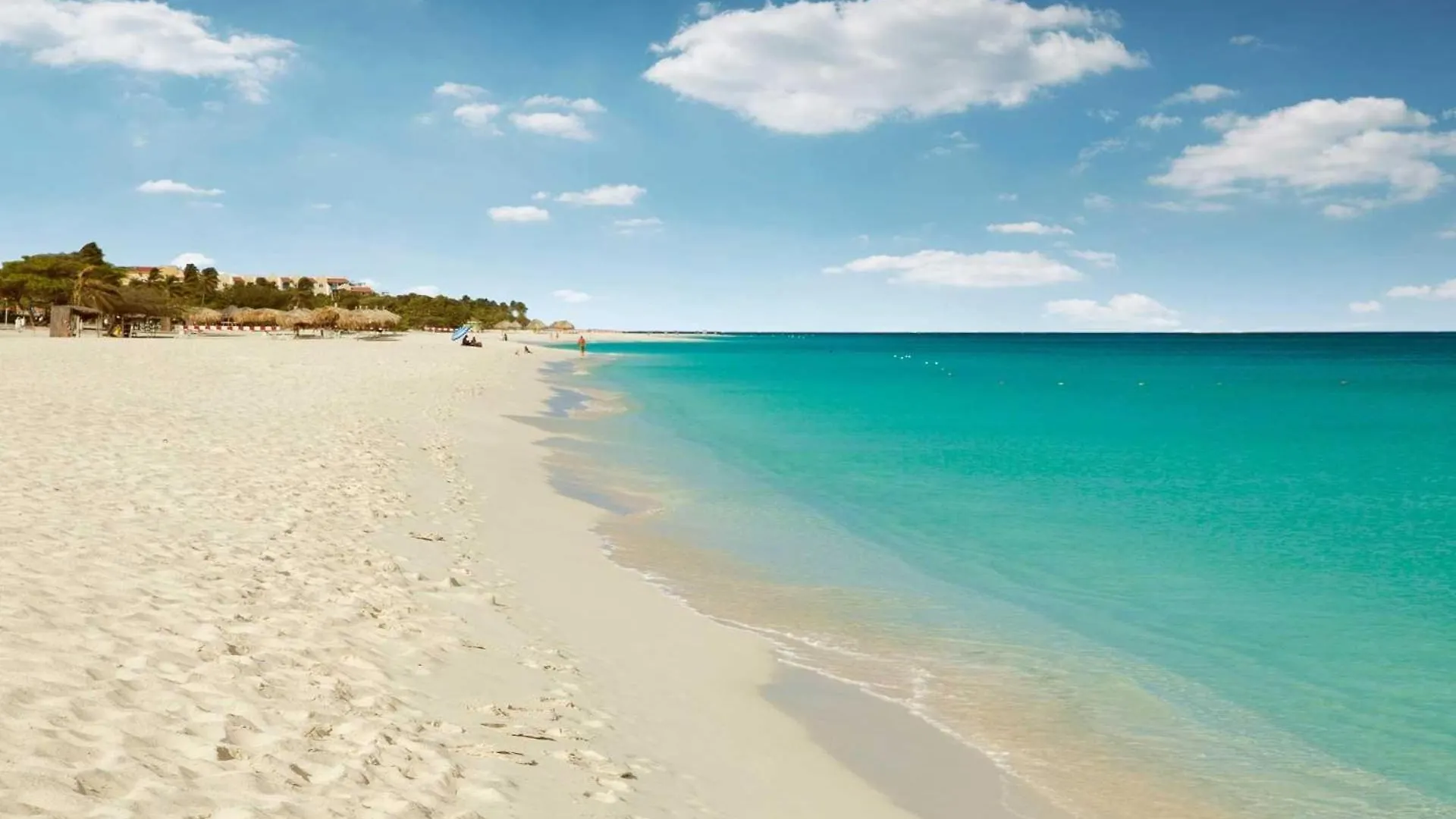 Beachfront - Beach Garden 1Br Condo - E124-2 Palm Beach